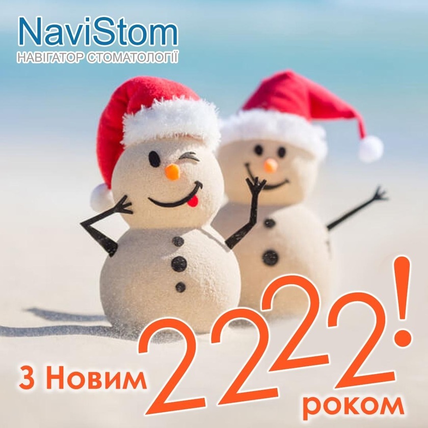  NaviStom