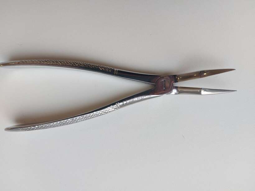 Баянетні щипці для коренів 5310.Y0.151 130 євро NaviStom