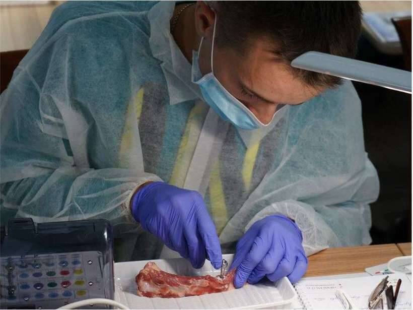 Курс `Минимально инвазивные методики при моделировании мягких тканей в зоне имплантации` NaviStom