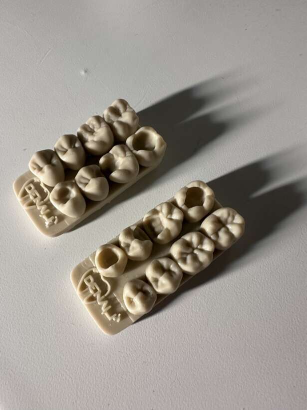 Моделі для відпрацювання практичних навичок реставрації бічної групи зубів NaviStom