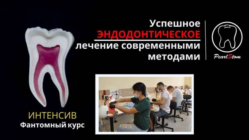 Успешное эндодонтическое лечение современными методами Симуляционный тренинг на фантомах NaviStom